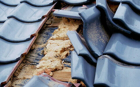 瓦の割れ・剥がれ写真